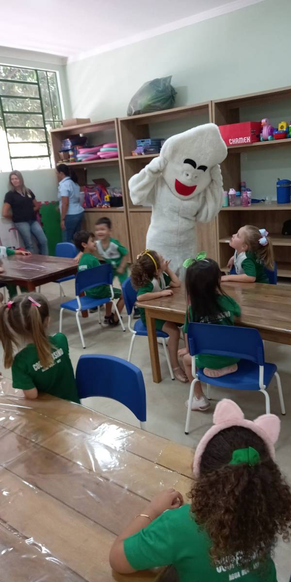 ze gotinha (29).jpeg